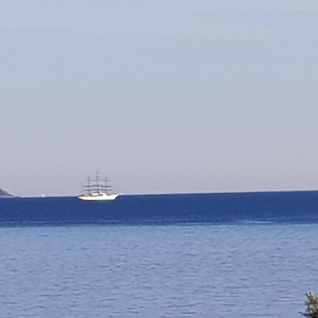 Vieille Ville D Ajaccio De 1 A 4 Pers A 300M Du Port Et A 15 Mn De Laeroport Proches De Plus Belles Plages Et Ttes Commodites A Proximite Zewnętrze zdjęcie