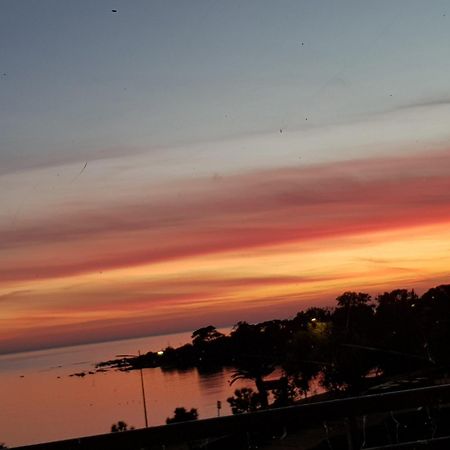 Vieille Ville D Ajaccio De 1 A 4 Pers A 300M Du Port Et A 15 Mn De Laeroport Proches De Plus Belles Plages Et Ttes Commodites A Proximite Zewnętrze zdjęcie