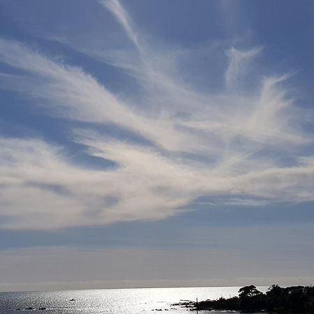 Vieille Ville D Ajaccio De 1 A 4 Pers A 300M Du Port Et A 15 Mn De Laeroport Proches De Plus Belles Plages Et Ttes Commodites A Proximite Zewnętrze zdjęcie